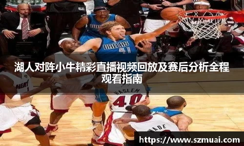 湖人对阵小牛精彩直播视频回放及赛后分析全程观看指南